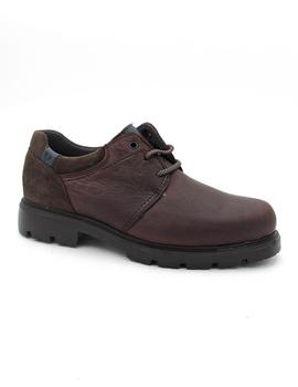 Zapato Pitillos 4761 marron para hombre