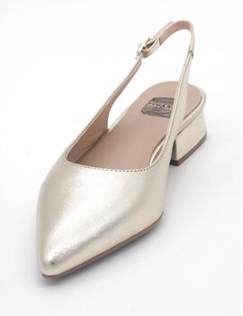 Zapato Patricia MIller 6024 oro para mujer