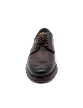 Zapato Pikolinos LINARES M8U-4197C1 marrón hombre