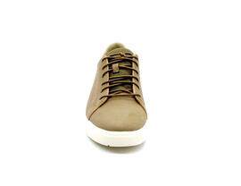Zapatilla Timberland TB0A5TY5DR01 taupe hombre