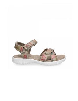 Sandalia PANAMA JACK Mujer Taupe NOJA TROPICAL 