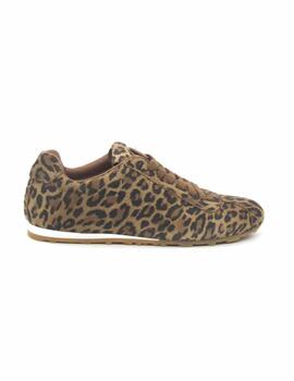 S-4159 CREATOR ZAPATO DEP. LEOPARDO CORDON