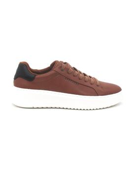 Zapatilla Skechers 183175/COG de color cuero para hombre
