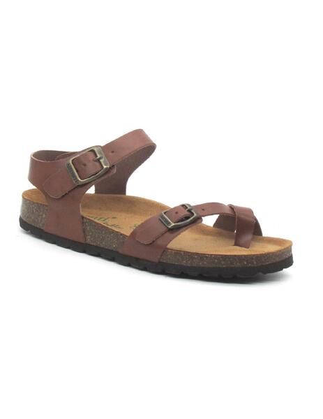Gallery a00442 fvmmgrdy