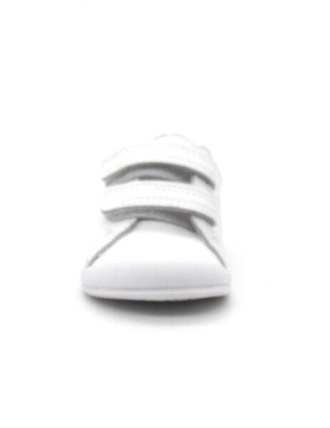 Gallery a00499 qmoctyt3